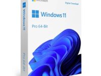 Microsoft Windows 11 Pro 64-Bit ENG