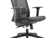 Lumivida Office Chair Ergonomic Mesh Lumbar Support Adjustable Seat/Armrest Black CH05-7